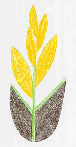 kerze08